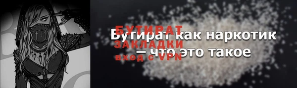 шишки Надым