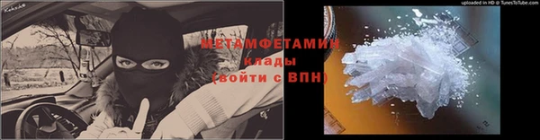 шишки Надым