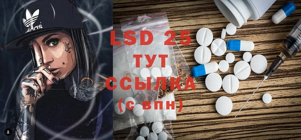 крисы Болотное