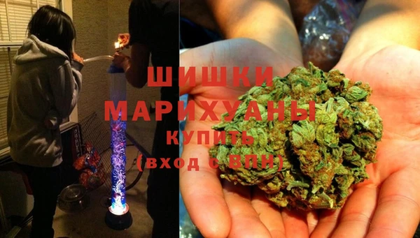 шишки Надым