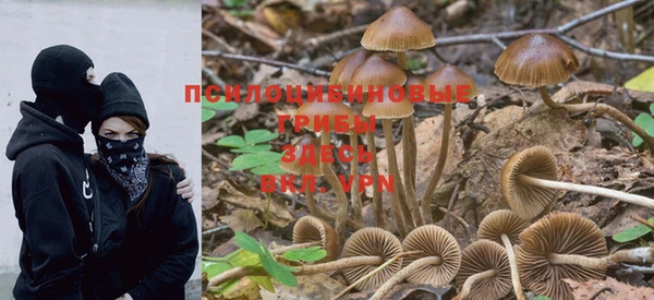MESCALINE Михайлов