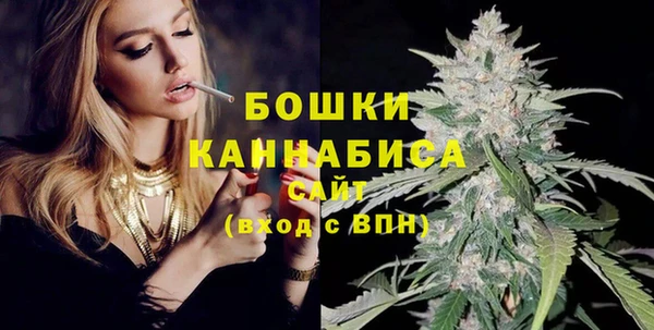 шишки Надым