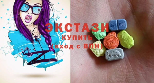 шишки Надым