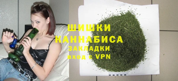 мдпв Болохово