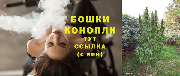 крисы Болотное