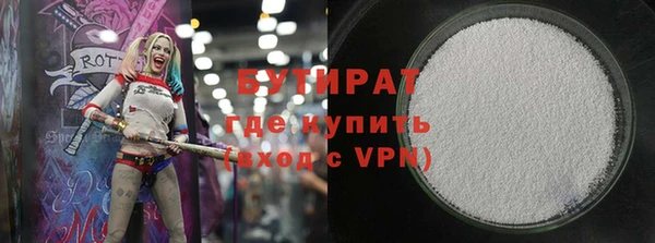 шишки Надым
