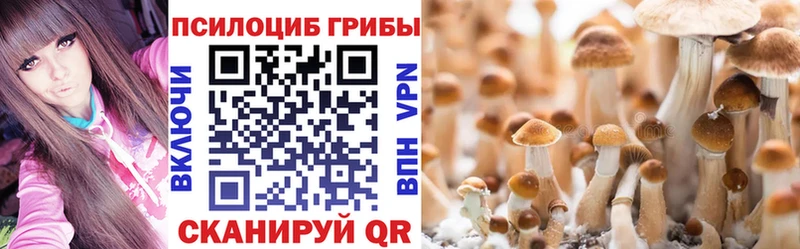 Купить  Заволжье  Псилоцибиновые грибы MAGIC MUSHROOMS 
